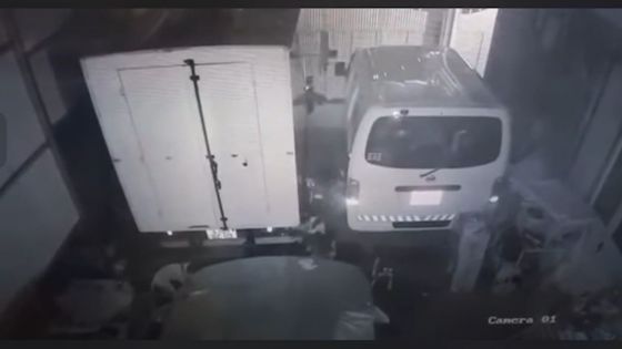 Morcellement Guibies, Pailles : une meute de chiens errants sèment la terreur