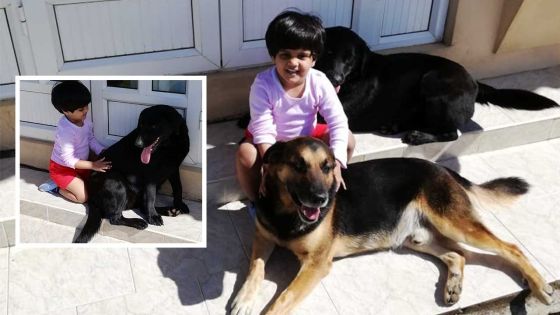 Chiens perdus : Aidez la petite Mrinaali à retrouver le sourire   