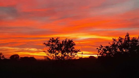 Pluies acides sur Maurice après l’éruption volcanique aux Tonga ? les avis des scientifiques divergent