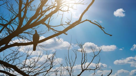  Météo : les prévisions pour ce dimanche