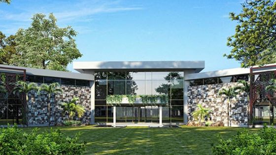 Constance La Gaite Company : le chiffre d’affaires chute de plus de Rs 226 millions