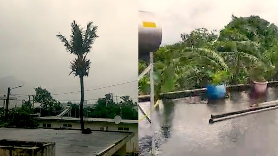 Coromandel : l’appel d’une famille aux autorités 