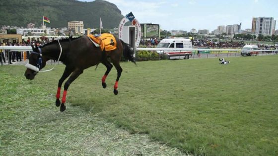 Hippisme – Training : Un seul journaliste autorisé, «impossible» pour la presse d’opérer