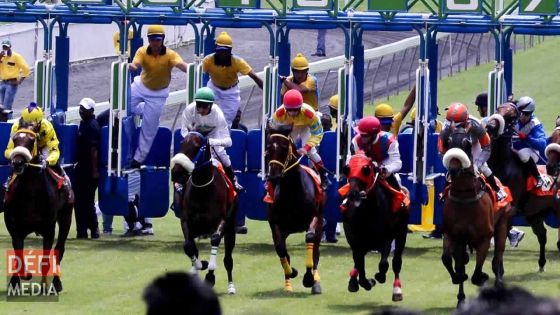 Hippisme : MTCSL sous administration volontaire  si elle n'obtient pas le bail du Champ-de-Mars