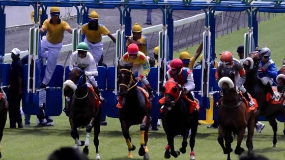 Hippisme : bientôt des firmes étrangères pour parrainer les courses 