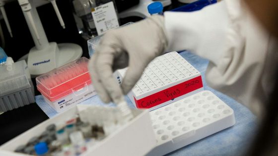 La Covid-19 aurait muté et présenterait une nouvelle variante rendant le virus plus contagieux 