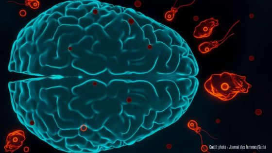 Inde : hausse des infections liées à une amibe mangeuse de cerveau