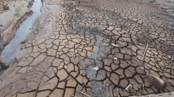 Sunil Dowarkasing : «Les nappes phréatiques sont notre seul salut» 