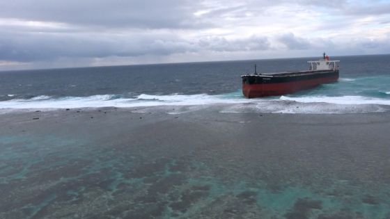 Naufrage du Wakashio : l’île de La Réunion prête à apporter son aide 