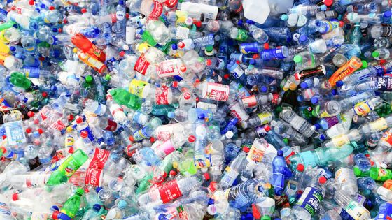 Black Friday : coup d’arrêt dans la bataille contre le plastique