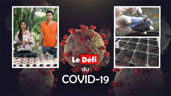 Le confinement peut être le moment propice pour produire soi-même des légumes