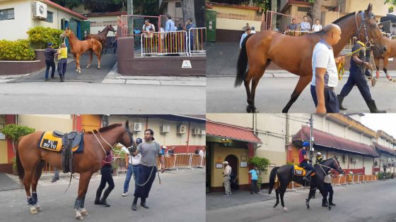 À la marche : les chevaux en évidence pour la 2e journée
