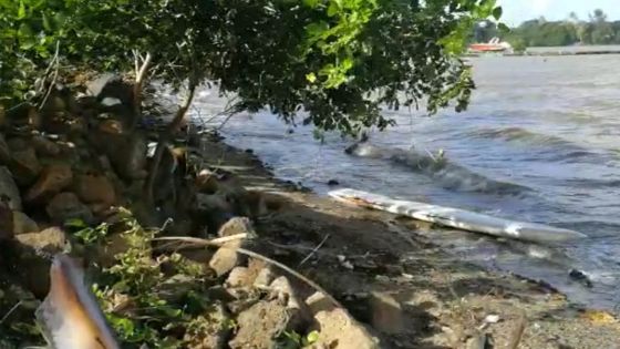 Deux-Frères : un corps sans tête retrouvé