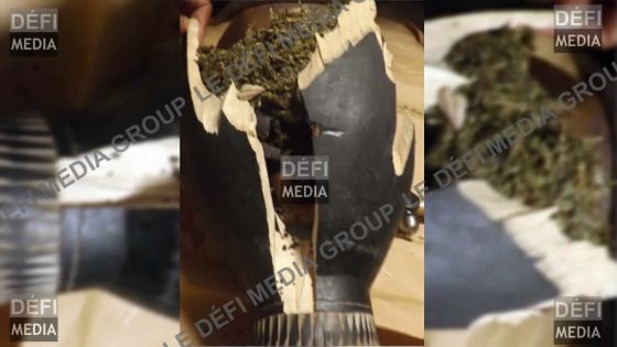 Aéroport : un djembé bourré de gandia en possession d’un habitant de Beau-Bassin