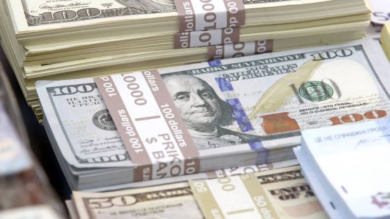 Pénurie de devises : ces solutions proposées à l’aube des élections 