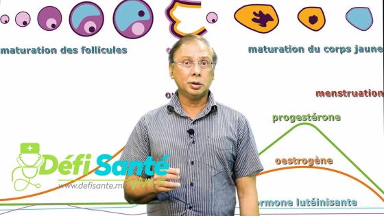 Cycles menstruels : quand faut-il s'inquiéter ?