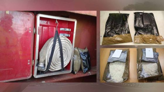 Trafic de drogue : découverte d’un appareil de filature à bord du bateau Maersk Avon