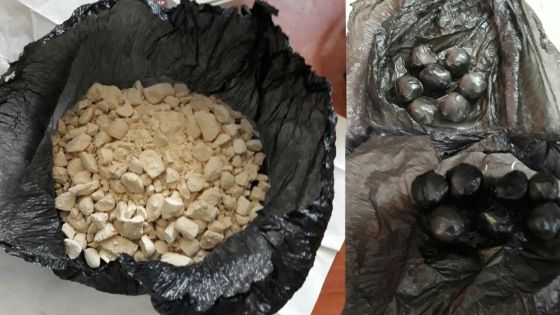 Saisie de Rs 8,5 millions de drogue chez un jeune habitant de Plaisance, Rose-Hill