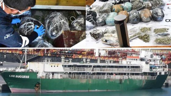 L’équipe de l’anti-narcotics de la MRA en quarantaine  après la saisie de 36 kg de cannabis sur un bateau