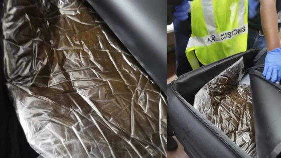 Rs 5,7 millions de haschich par courrier express : trois habitants de Valetta arrêtés 