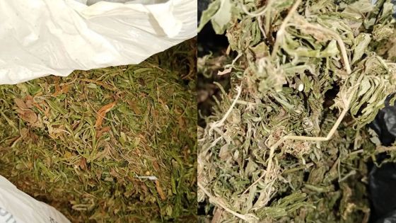 Aéroport SSR : venues récupérer de la drogue, mère et fille arrêtées 