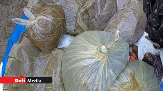 De l’héroïne et du cannabis synthétique enfouis sous le sable sur l'Île aux Bénitiers