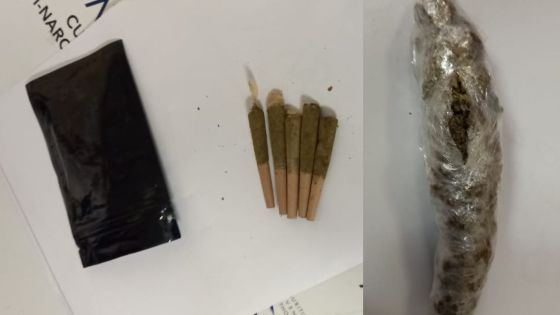 Saisie de drogue et des papiers à rouler à Plaisance : le suspect reste en détention