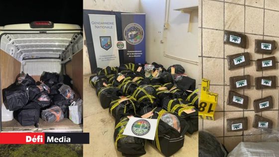 148 kilos de cannabis saisis à La Réunion : trois Mauriciens arrêtés 