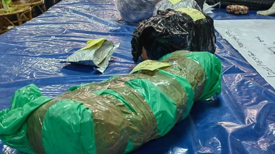 Saisies de drogues : pourquoi la police peine-t-elle à remonter jusqu’aux barons ?