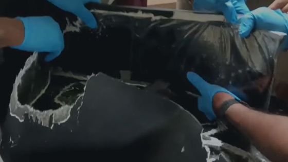 Drogue : une Bolivienne arrêtée à Maurice avec deux kilos de cocaïne 