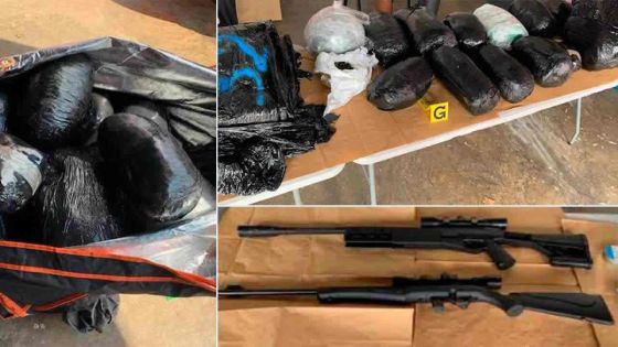 Axe Île Soeur-Maurice : Du zamal d'une valeur de Rs 250 millions saisi à La Réunion