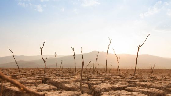 Le monde doit se préparer à des températures records provoquées par El Nino, selon l’ONU