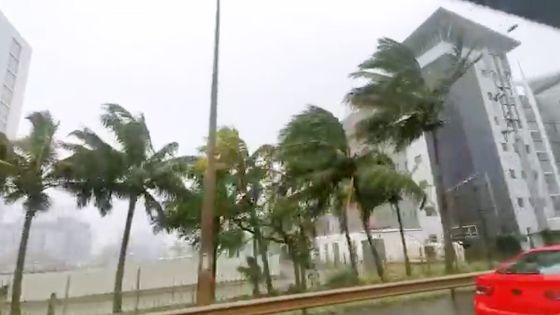 Ébène à Bagatelle : accumulations d’eau à certains endroits