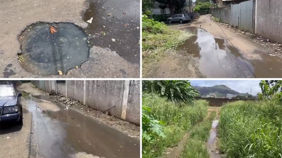 Un égout qui déborde à Rose-Hill : la souffrance de treize familles