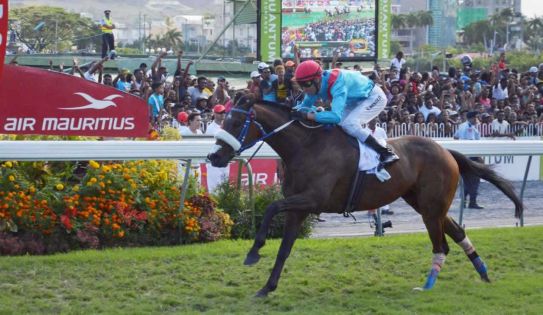  Maiden Cup 2017 : revivez la victoire d’Enaad 