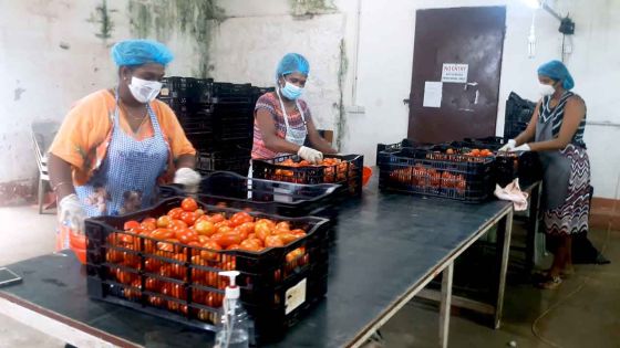 « Top Nature » une entreprise frappée par la crise découvre la solidarité familiale avec les travailleurs