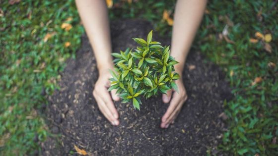 Environnement : des actions durables avec le Défi Media Group