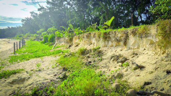 Lutte contre l’érosion des plages - gestion côtière vs projets d’hôtels : le GM et ses contradictions 