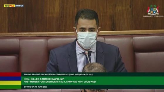 Budget : « La communauté des artistes a été méprisée », affirme Fabrice David