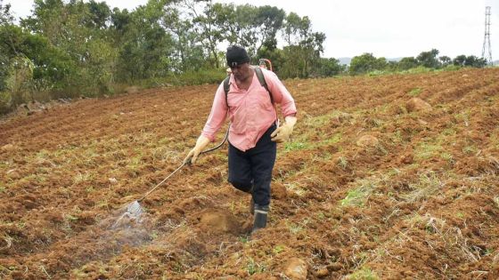 Laboureur, planteur et commerçant: ANAND L'INFATIGABLE