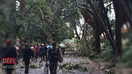 Tempête Fakir : 150 foyers privés d’électricité dans le Sud