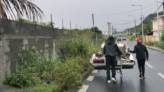 Des «marsan feray» pas dérangés par le confinement trimballent leur bric-à-brac à Rose-Hill