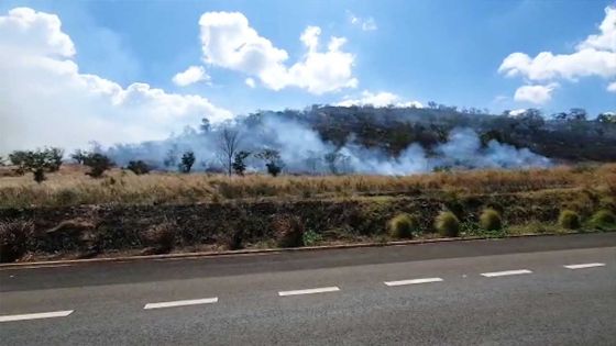 Coromandel : la colline Chapman est la proie des flammes 