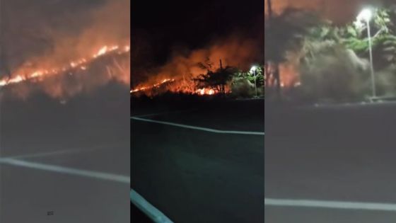 Incendie à Chapman Hill, Coromandel