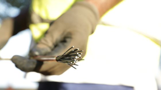 Le câble sous-marin de fibre optique METISS bientôt opérationnel