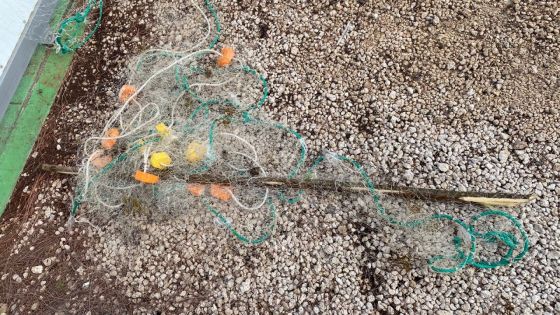 Pêche illégale : 45 mètres de filets saisis à Grand-Gaube 