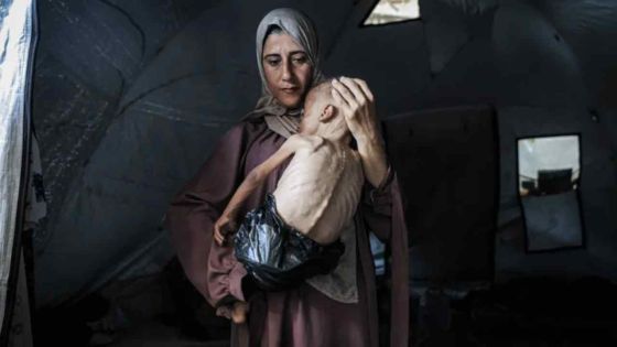 Une centaine d'ONG alertent sur le début d'une famine de masse à Gaza
