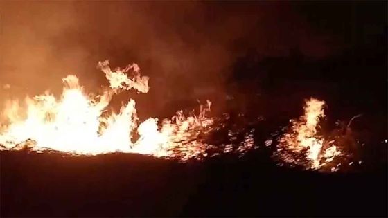 La Tour Koenig : incendie sur un terrain en friche