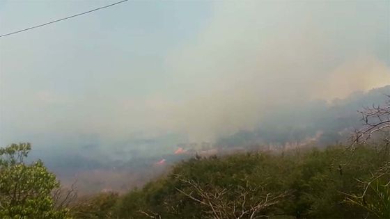 Incendie sur le flanc de la montagne des Signaux 