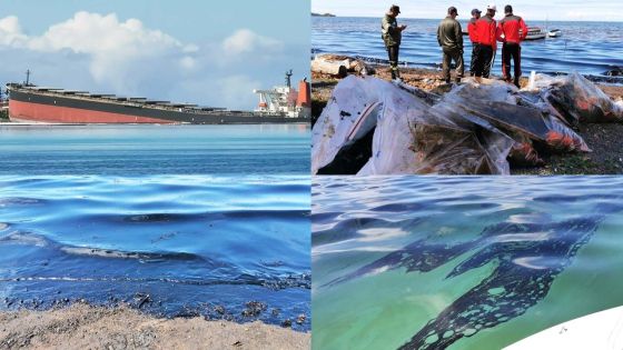 Fuite de fioul du Wakashio : des Mauriciens se mobilisent pour une tentative de grand nettoyage